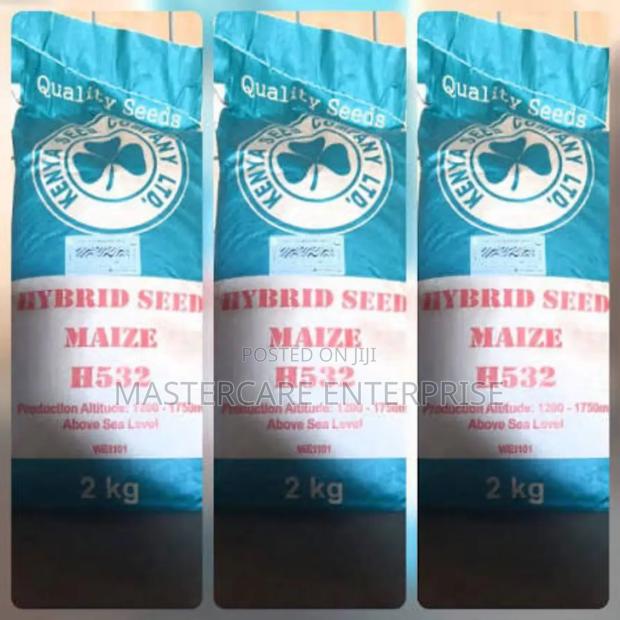 Hybrid 532 Maize 2 Kg - main view