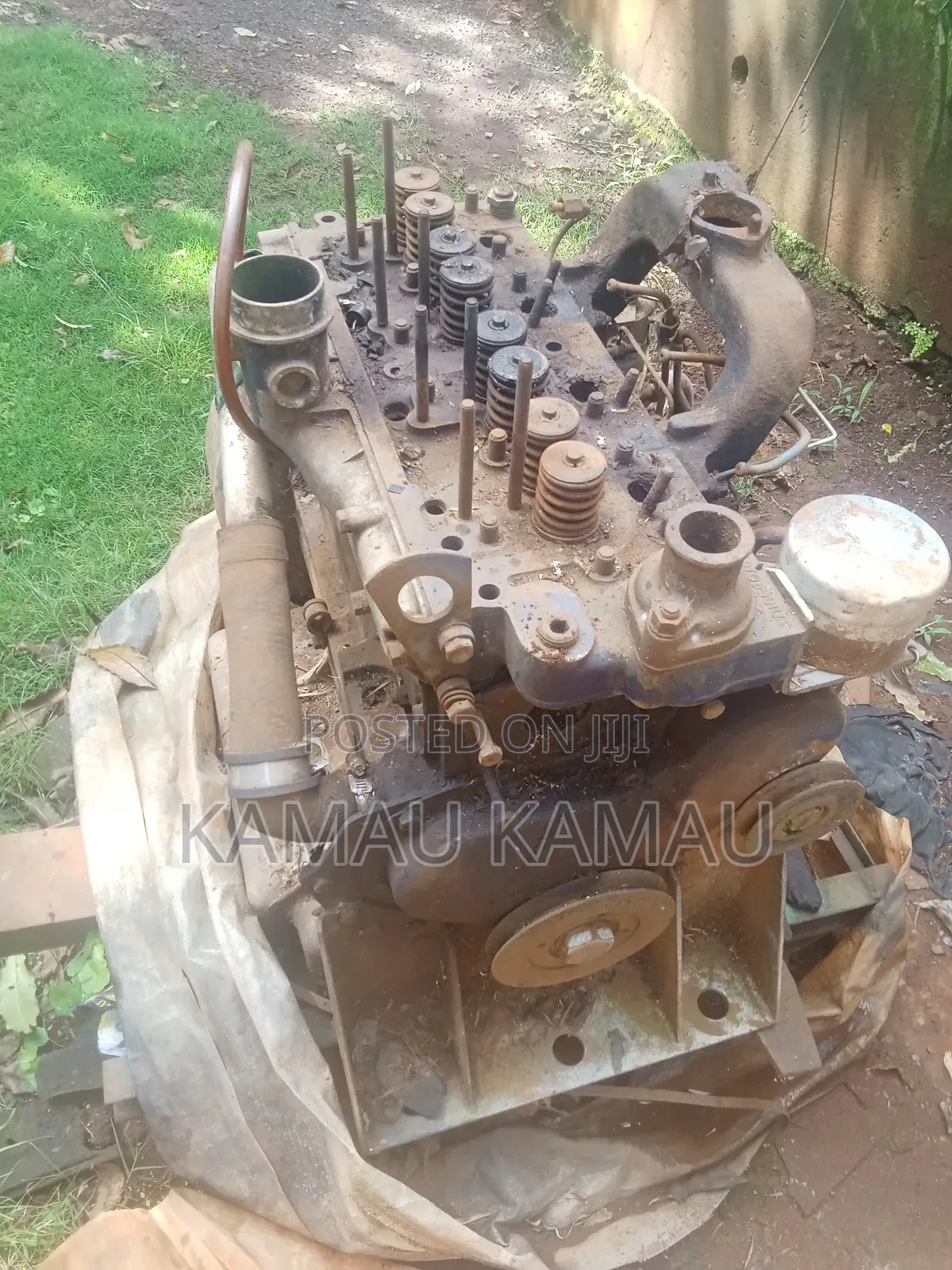 Perkins Engine