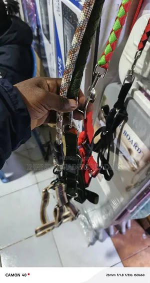 Dog Leash With.Harness