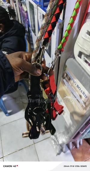 Dog Leash With Harness and Collar - thumbnail 2