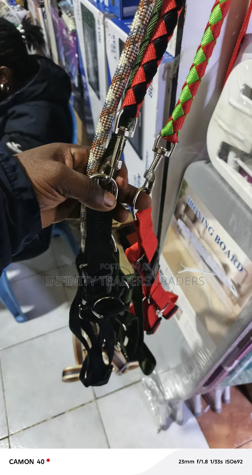 Dog Leash With Harness and Collar