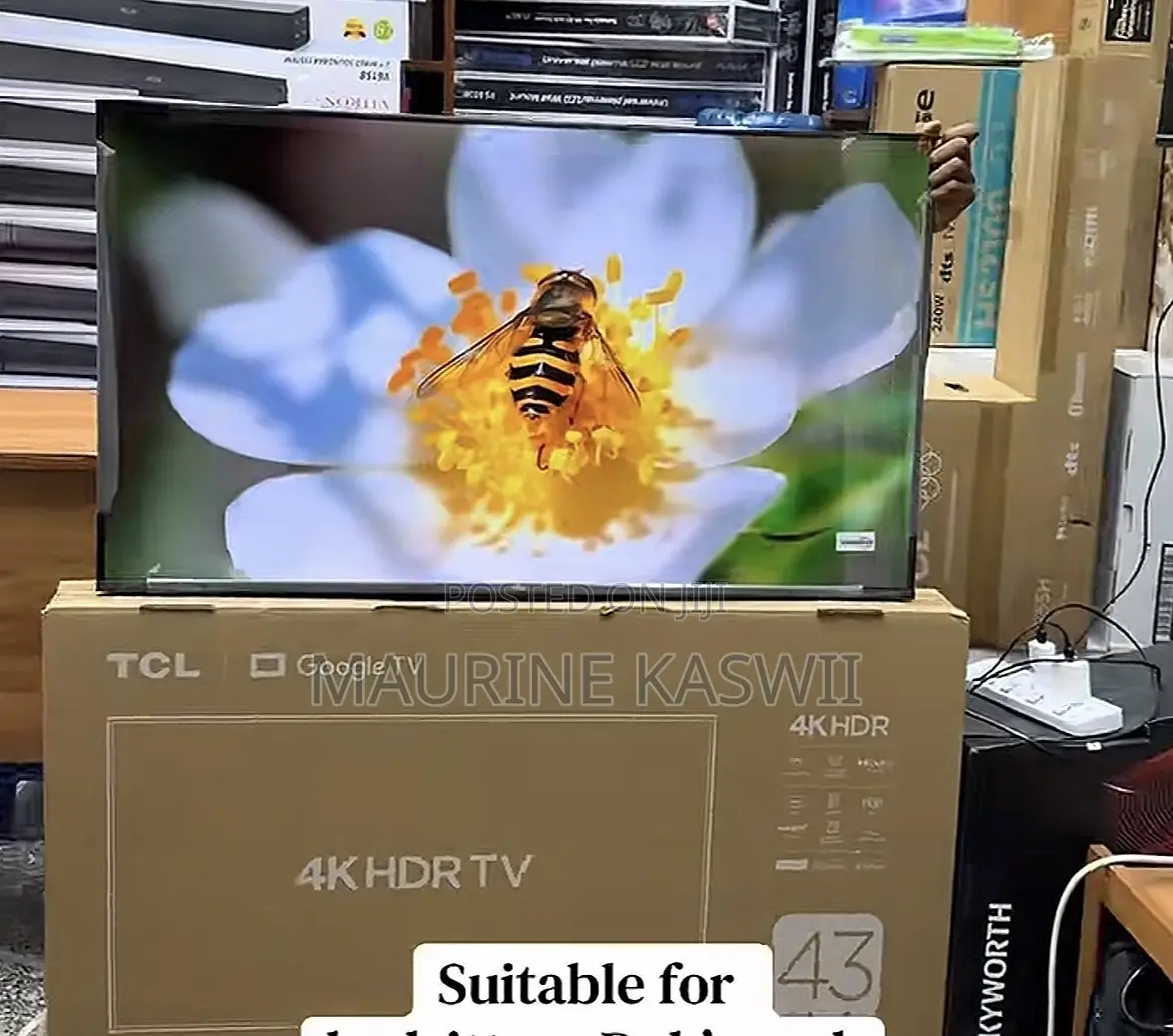 TCL 43” Google Tv 43 V6c Frameless