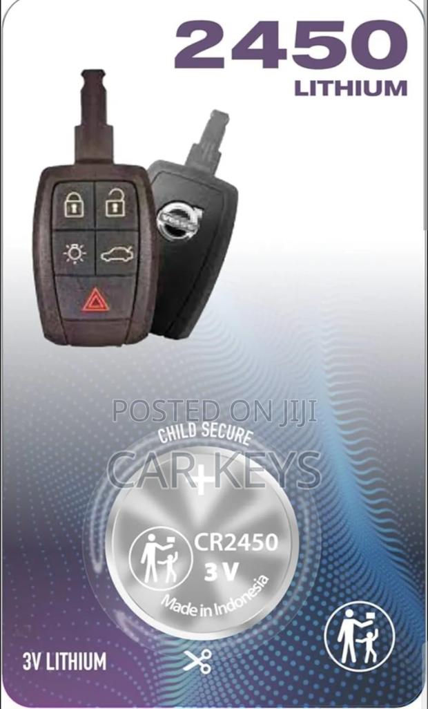 2450 Remote Key Battery - main view