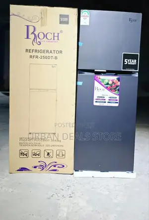 197 Litres Roch RFR-250-Dt-B Double Door Refrigerator