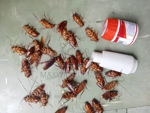 Pest Control