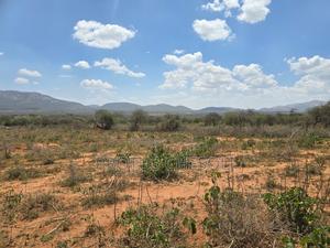 50acres Agricultural Land in Bisil - thumbnail 2