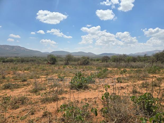 50acres Agricultural Land in Bisil
