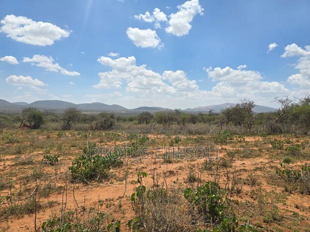 50acres Agricultural Land in Bisil - thumbnail 3