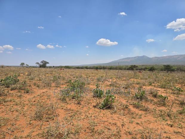50acres Agricultural Land in Bisil - thumbnail 5