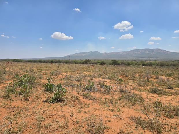 50acres Agricultural Land in Bisil - thumbnail 6