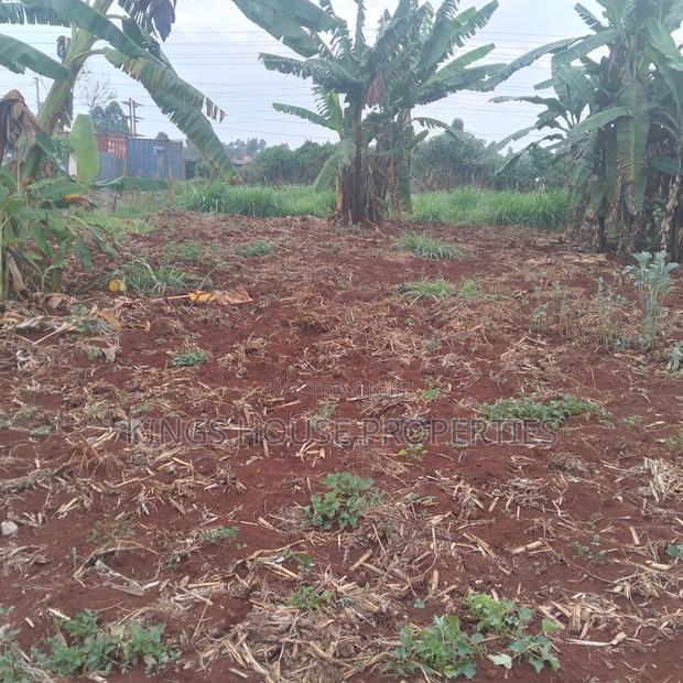 Kiambu Land - thumbnail 4