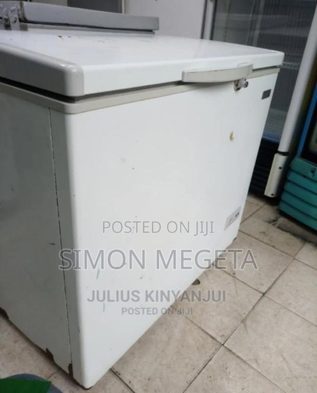 Colour Grey New Original Premier 300l Freezers