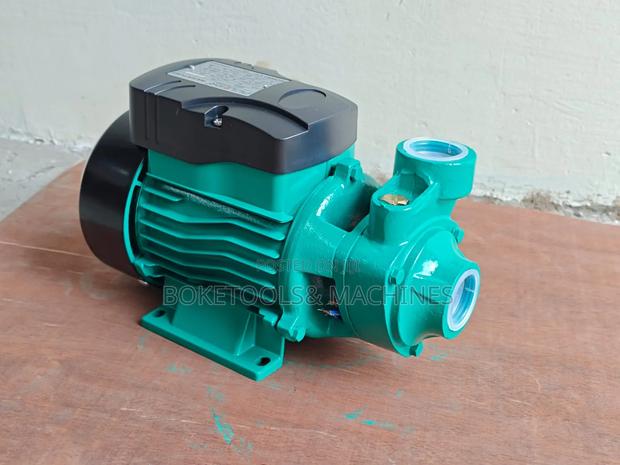 Pulsar 0.5 Hp Booster Pump - main view