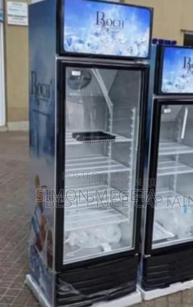 Model Rsf 350sr Roch 279l Display Fridge - main view