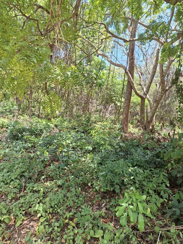 Land for Sale in Diani Ukunda - thumbnail 2