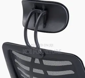 Office Chair : High-Back Ergonomic Office Chair With Headrest