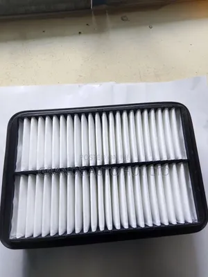Air Filter Hyundai Santa Fe 2005