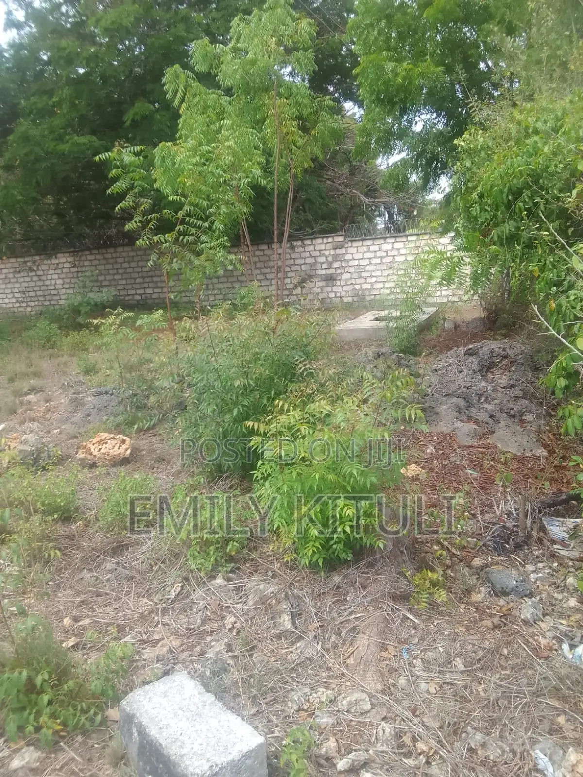 Plot for Sale : Mombasa Shanzu