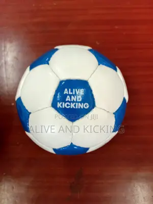 Football Size 2 Foil Coated