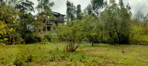 One Acre for Sale in Kirinyaga Riagîcheru
