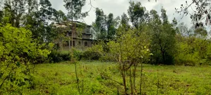 One Acre for Sale in Kirinyaga Riagîcheru