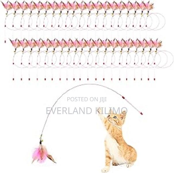 Cat Play Wand With Feather Attachment - main view