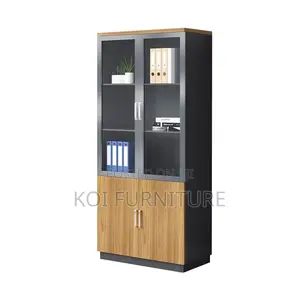 Office Cabinet; Two Doors Executive Office Cabinet