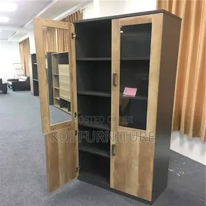 Office Cabinet; Two Doors Executive Office Cabinet