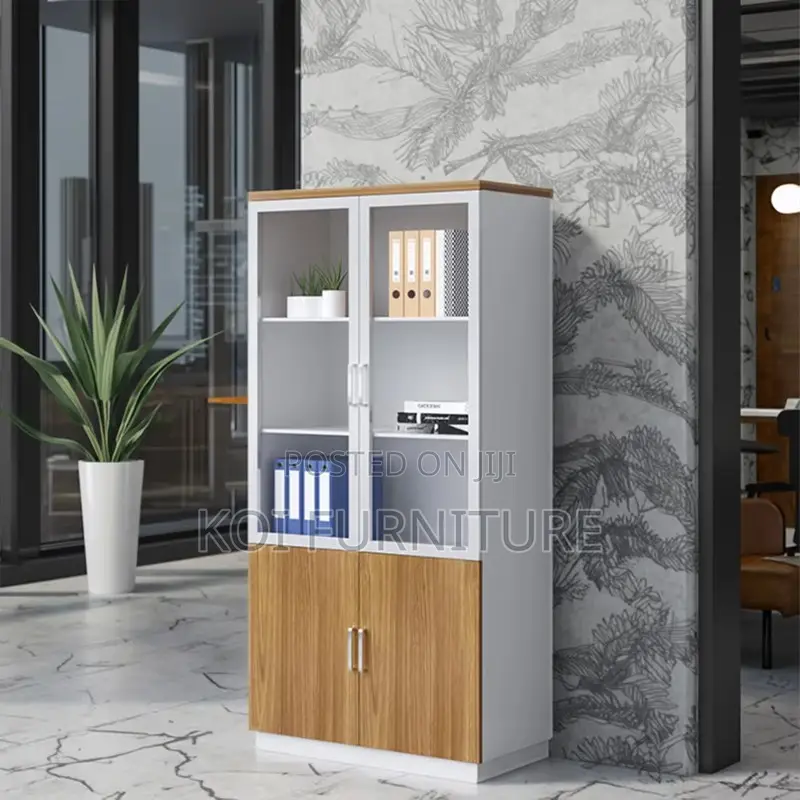 Office Cabinet; Two Doors Executive Office Cabinet