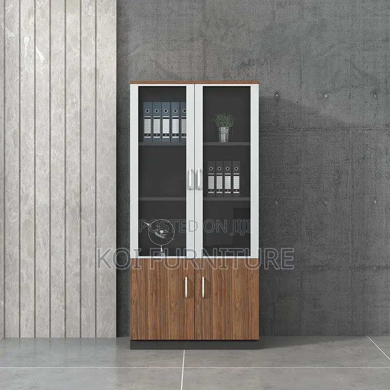 Office Cabinet; Two Doors Executive Office Cabinet