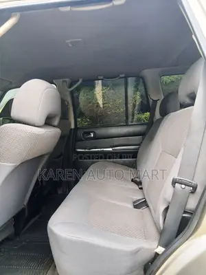 Nissan Patrol 2009 Gold