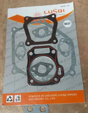 Complete Engine Gasket Kit For 168f And Gx160 Engines