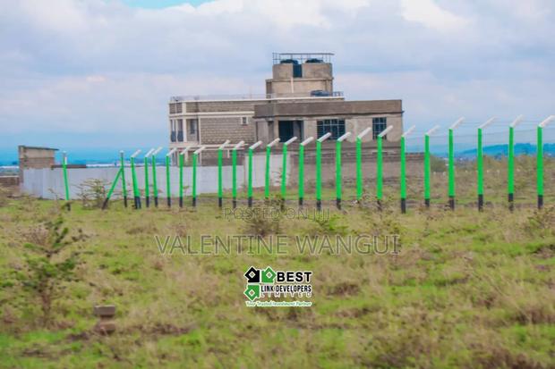 Ruiru Kamakis - Mwalimu Farm - thumbnail 3