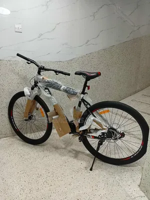 Size 29 Mountain Bike