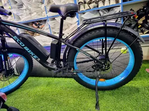 Electric Bicycle 55 Speed.*