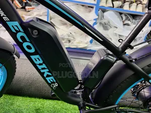 Electric Bicycle 55 Speed.*