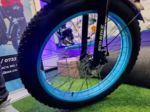 Electric Bicycle 55 Speed.*