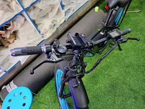 Electric Bicycle 55 Speed.*