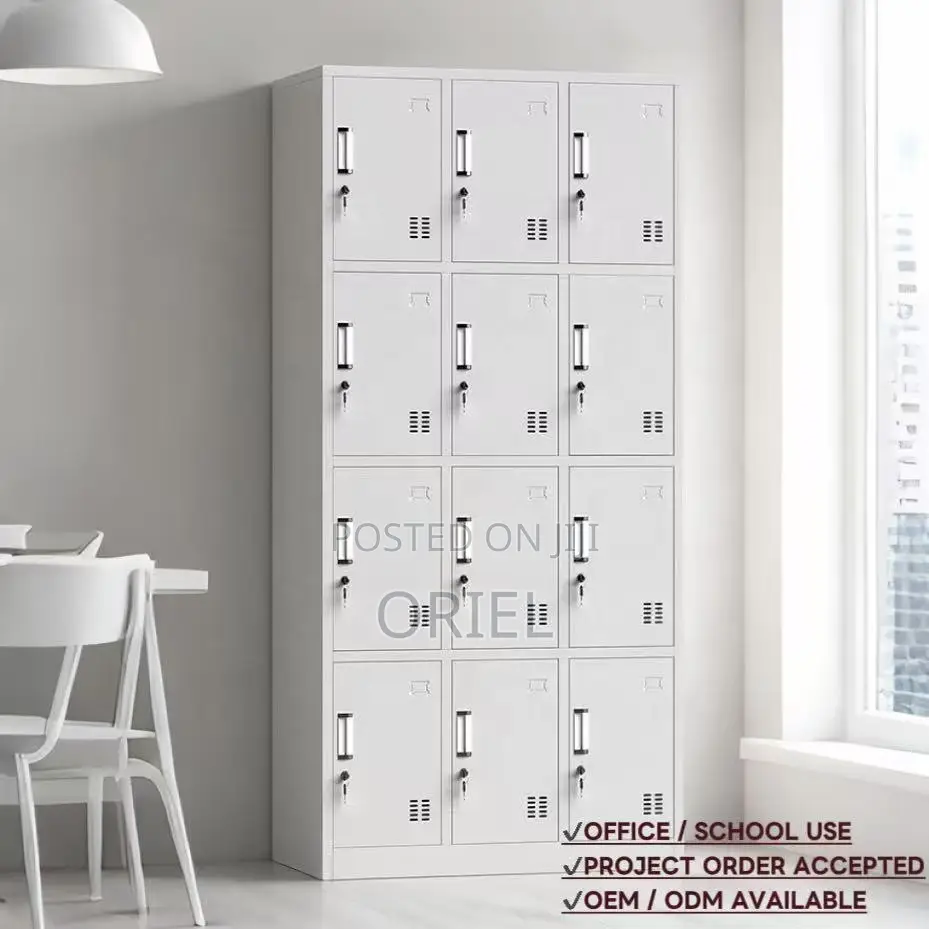 Modern Office Cabinet : 12 Doors Locker Steel Cabinet