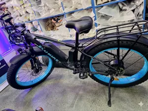 Eakia Eco Electric Bike