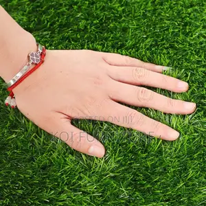 Home Furniture; Artificial Grass Outdoor Carpet-25mm Per Square MTR