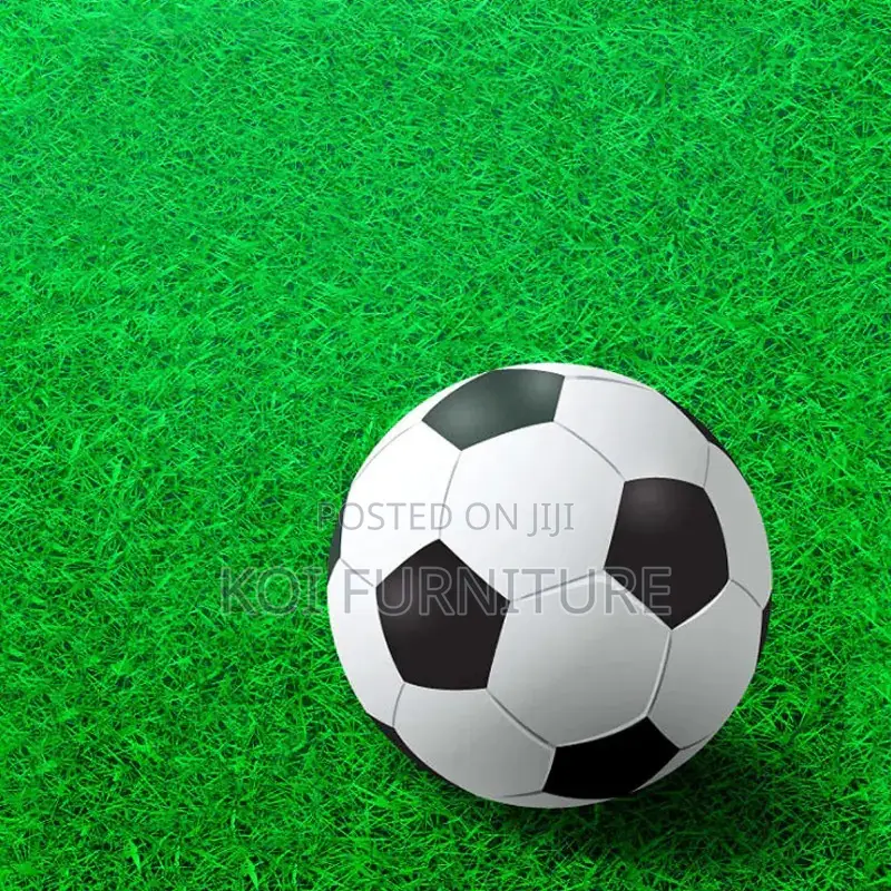 Home Furniture; Artificial Grass Outdoor Carpet-25mm Per Square MTR
