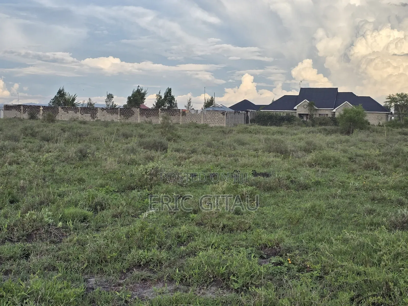 1.5 Acres in Kitengela Acacia