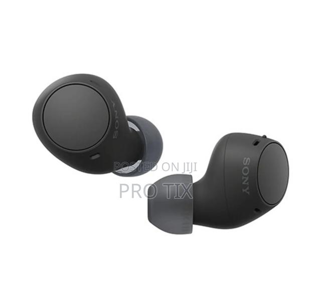 Sony Wf-C510 True Wireless Earbuds - main view