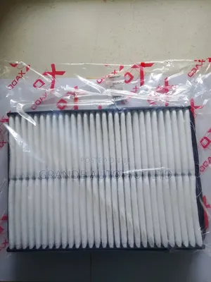 Air Filter Hyundai Santa Fe/Sorento 2010 Diesel (Xado Brand)
