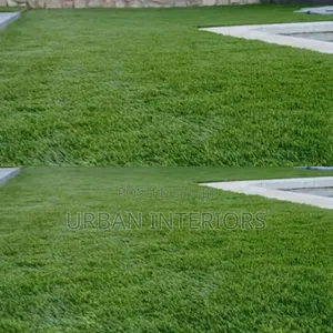 Lawn Grass Carpet Lawn Grass Carpet for Outdoor Spaces