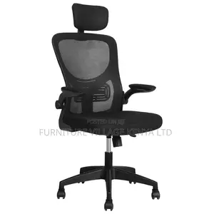 Office Chairs: Orthopedic Ergonomic Office Seat With Headrest