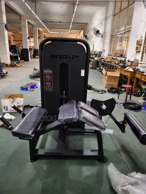 Horizontal Leg Curl Trainer Top-of-the-line Gym Equipment