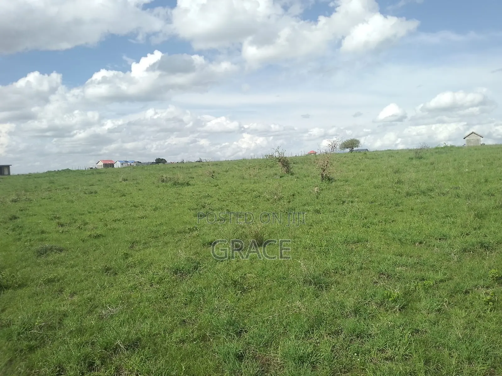 Prime 1/8 Acre Plots for Sale in Joska – Ready Title Deeds