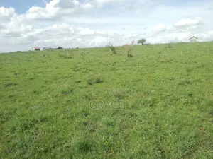 Prime 1/8 Acre Plots for Sale in Joska – Ready Title Deeds
